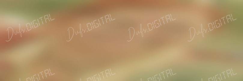 Blurred Portrait Image