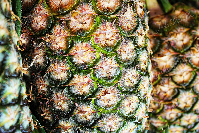 Close-Up Pineapple Texture