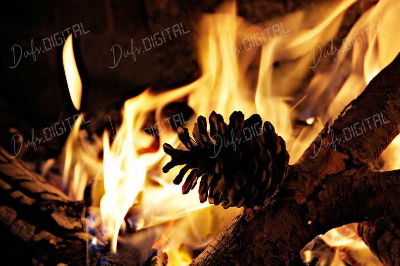 Pine Cone Fire Glow
