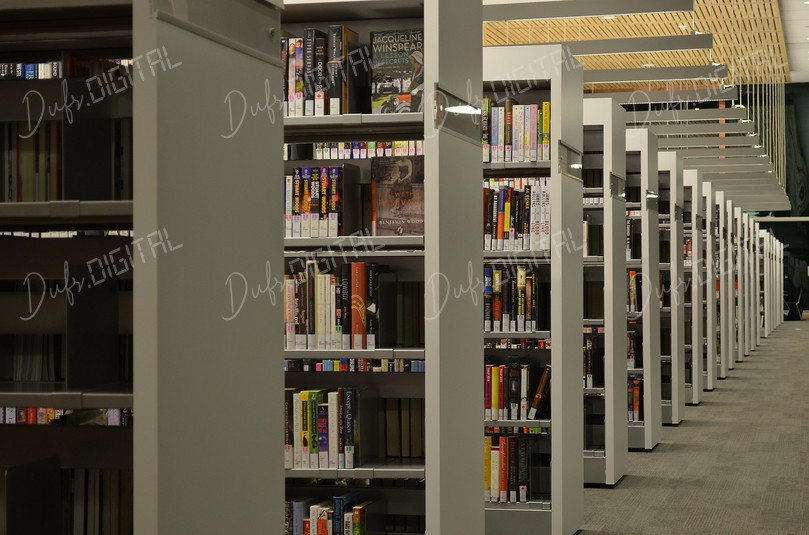 Modern Library Interior