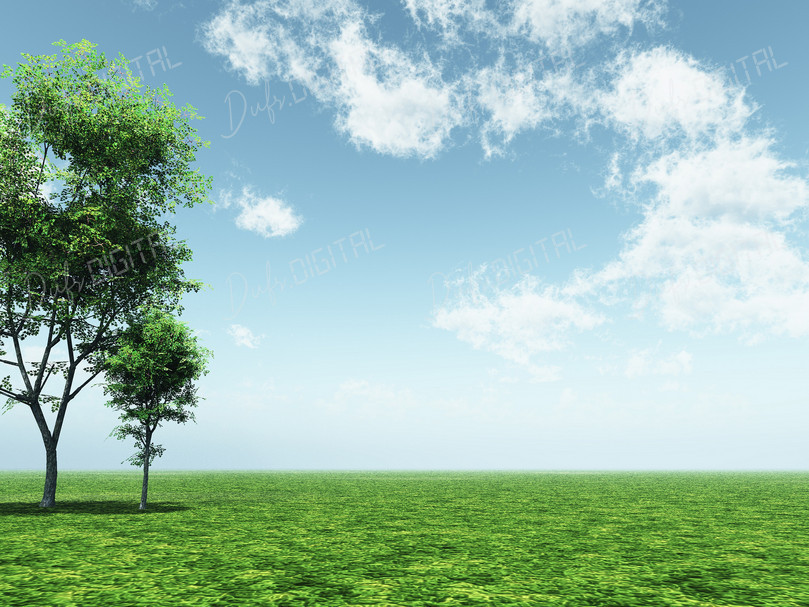 Green Landscape with Trees