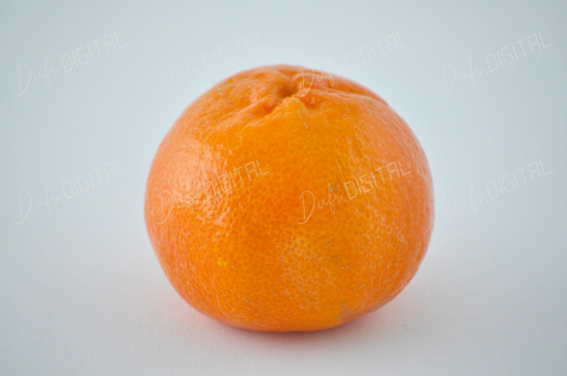 Fresh Orange Fruit