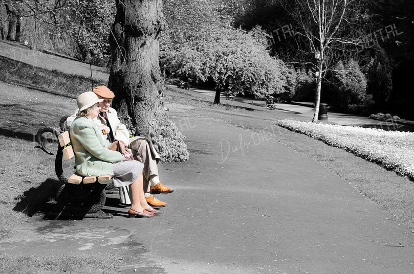 Elderly Companions in Park