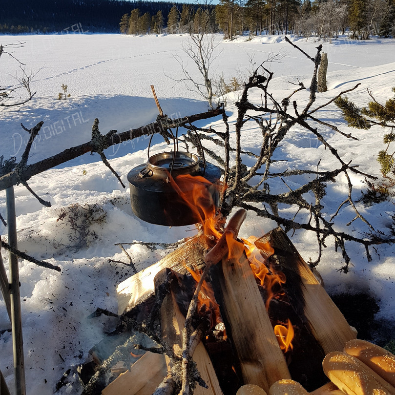 Campfire in Winter