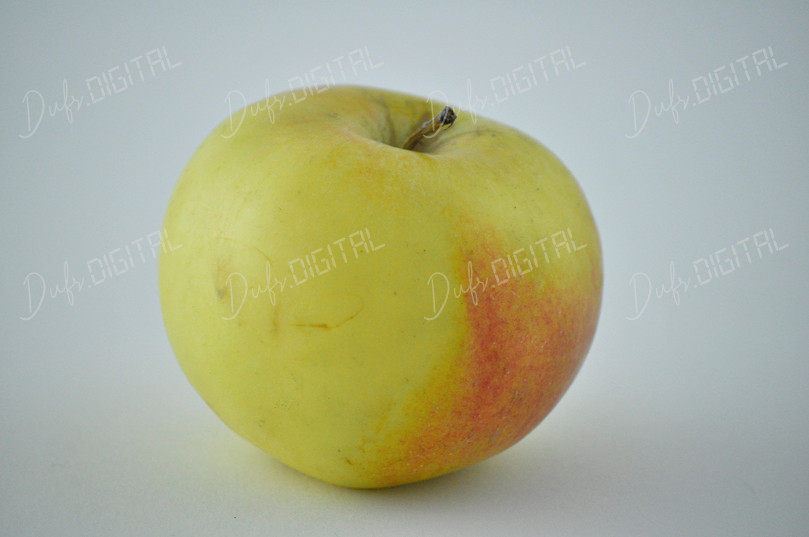 Fresh Yellow Apple