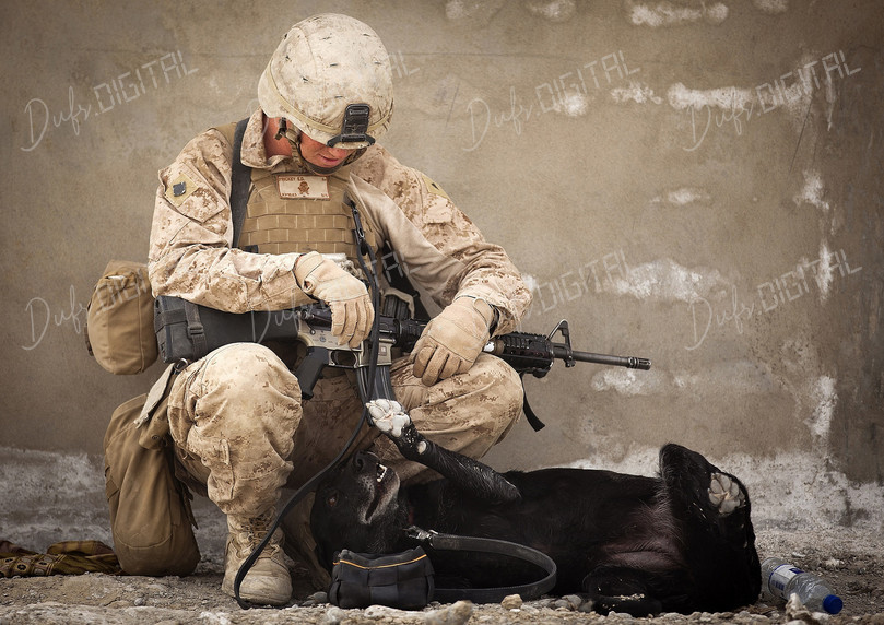 Soldier and Dog Bonding