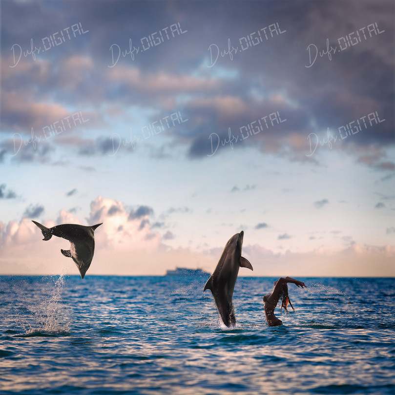 Dolphins Leaping in Ocean