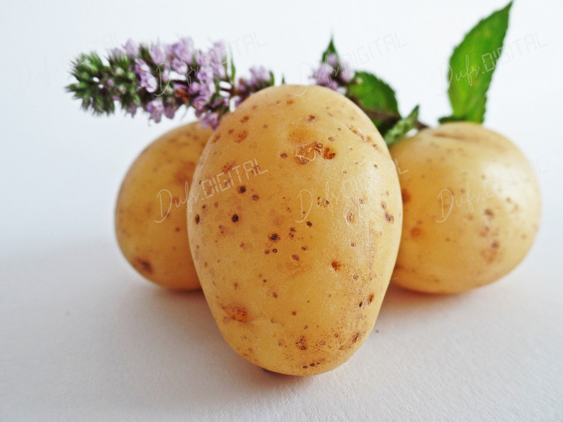 Fresh Potatoes with Herbs