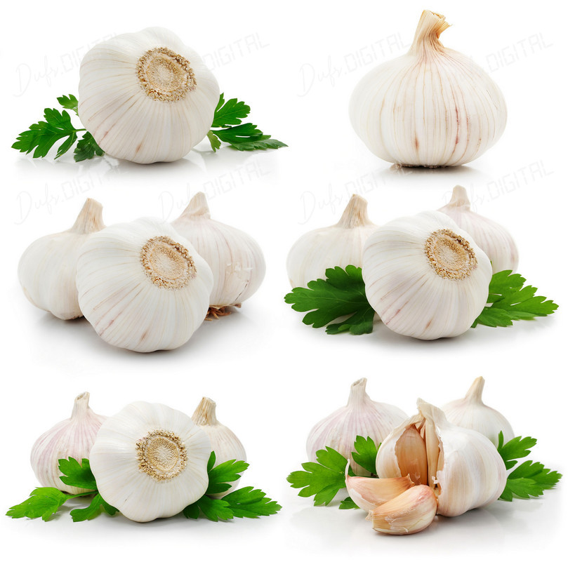 Fresh Garlic Composition