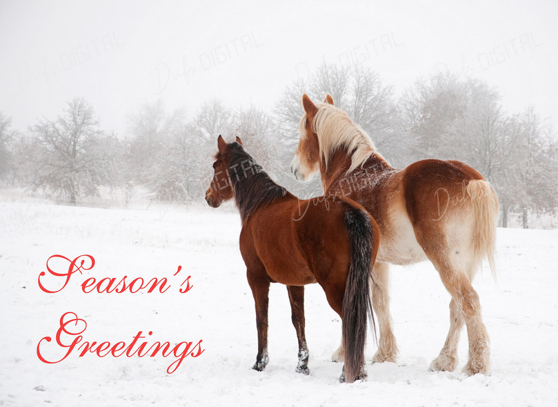 Season's Greetings Horses