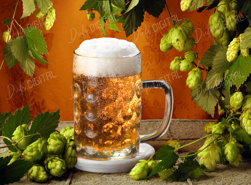 Refreshing Beer with Hops