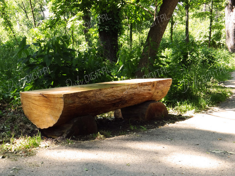 Wooden Park Bench