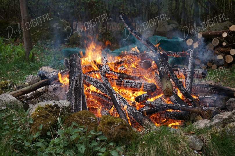 Campfire in Nature