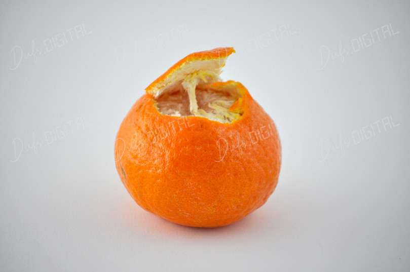 Creative Tangerine Presentation