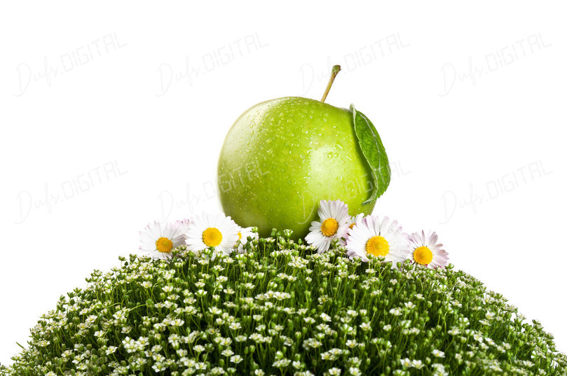 Fresh Green Apple
