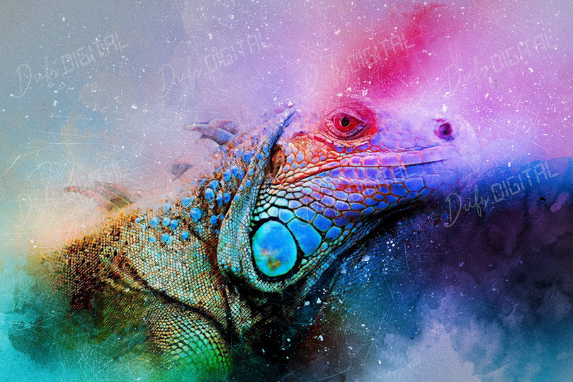 Colorful Lizard Portrait