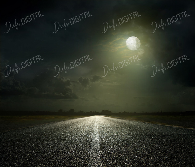 Moonlit Road