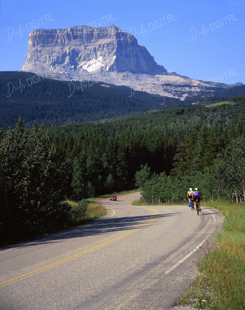 Cyclists on Winding Road