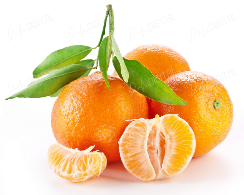 Fresh Citrus Oranges