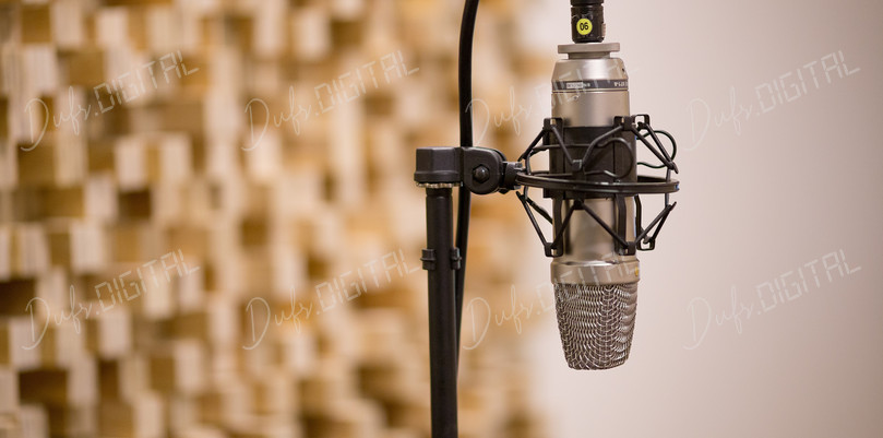 Professional Microphone Setup