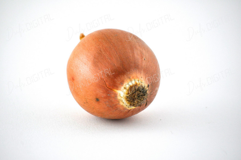 Single Shallot Onion
