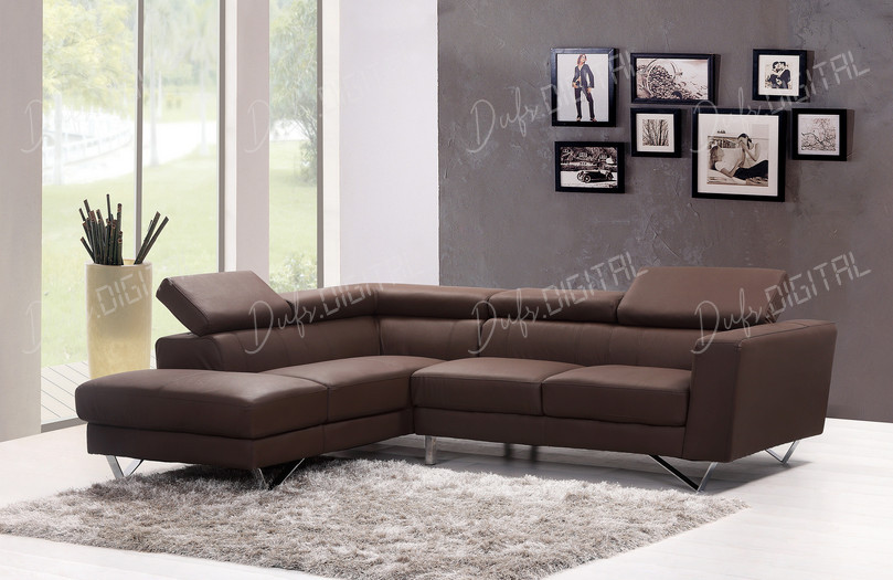 Modern Brown Sofa