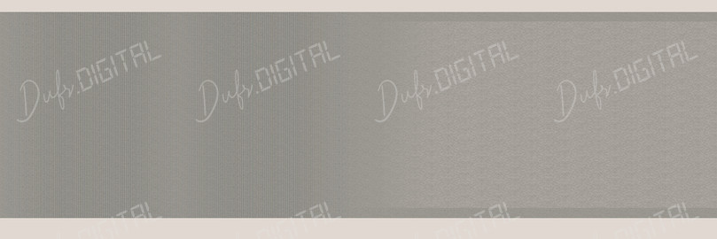 Subtle Neutral Tones