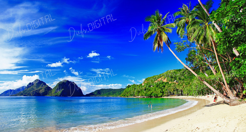 Tropical Beach Paradise