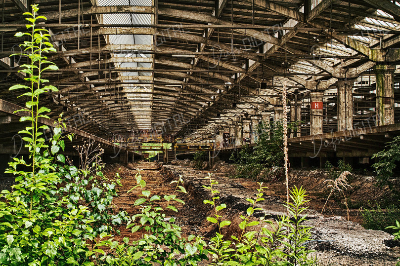 Abandoned Industrial Space