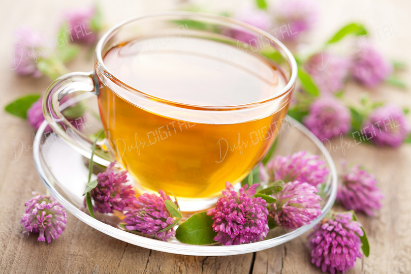 Tea and Clover Flowers