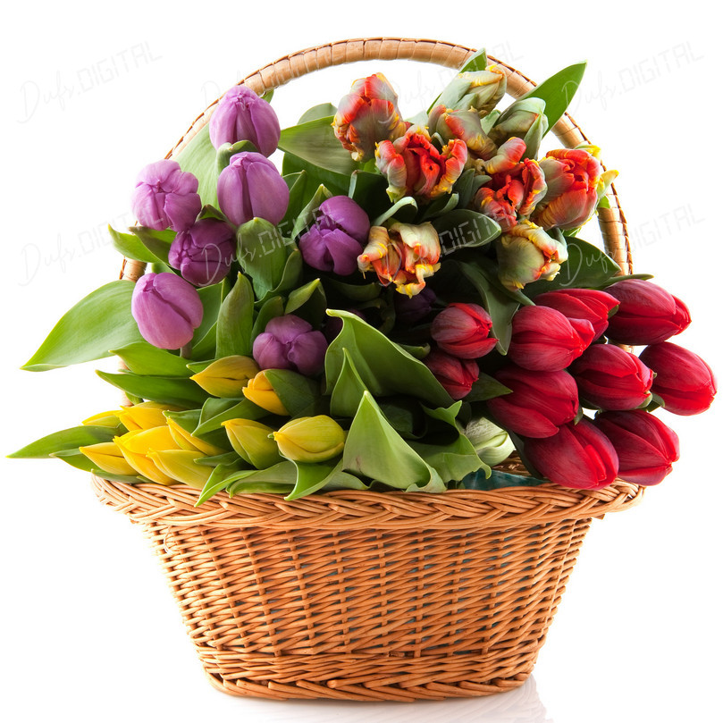 Colorful Flower Basket