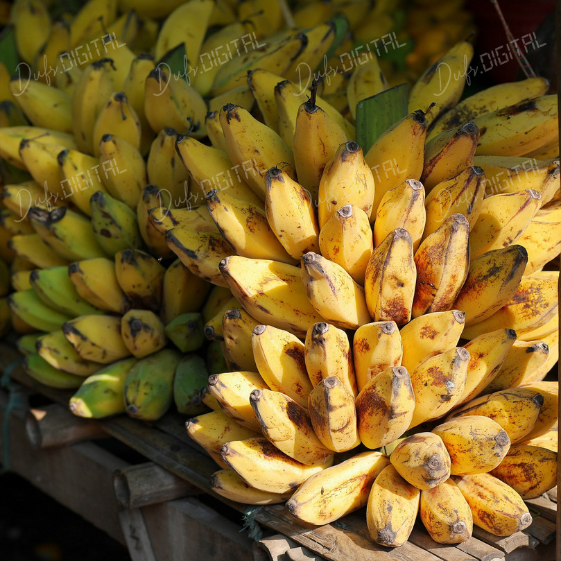 Fresh Bananas Display