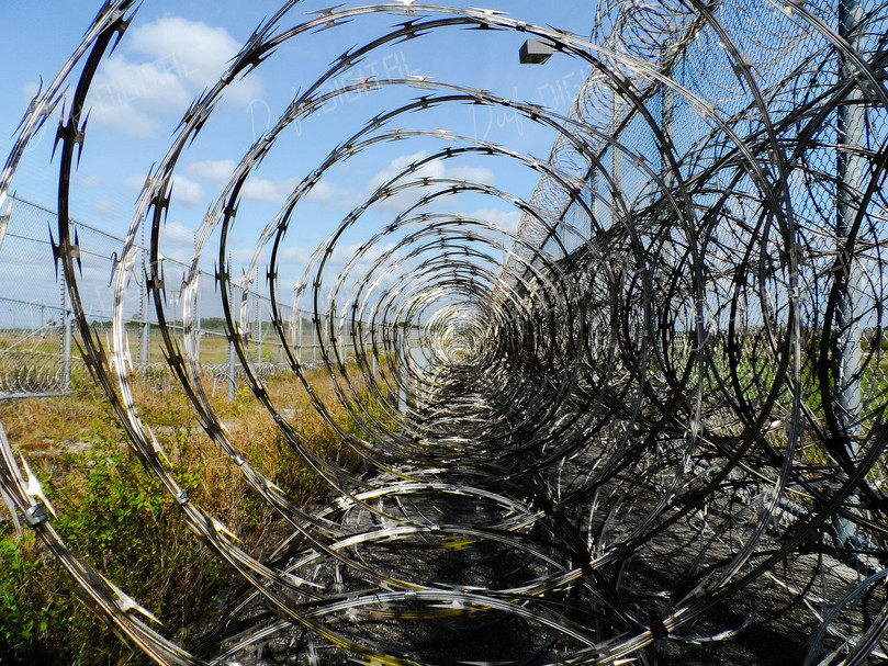 Barbed Wire Boundaries