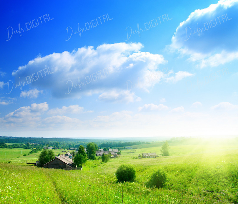 Serene Rural Landscape