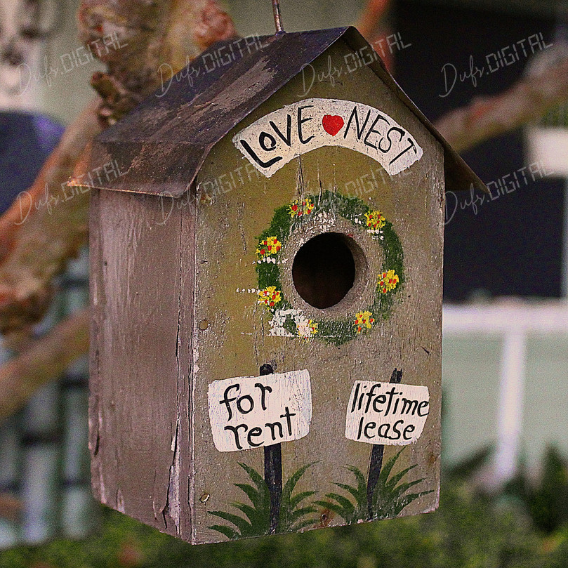 Birdhouse for Love