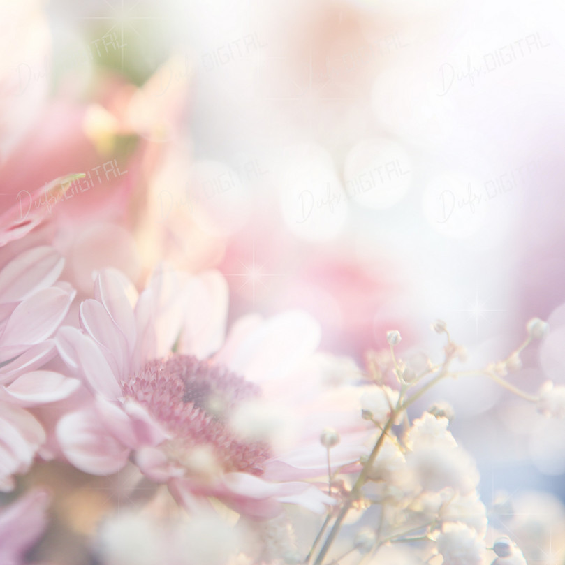 Soft Floral Background