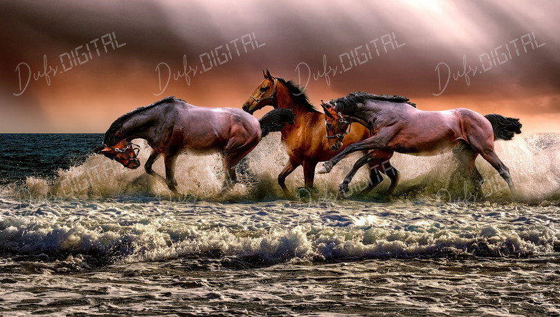 Horses Splashing in Waves