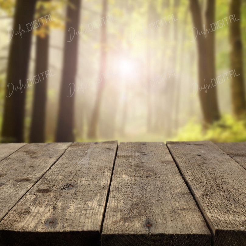 Wooden Deck in Forest