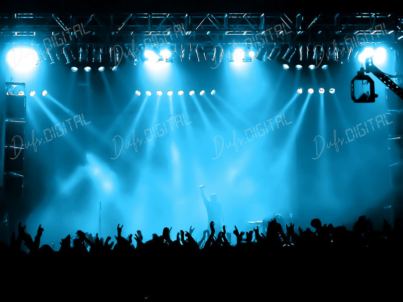 Energetic Concert Crowd