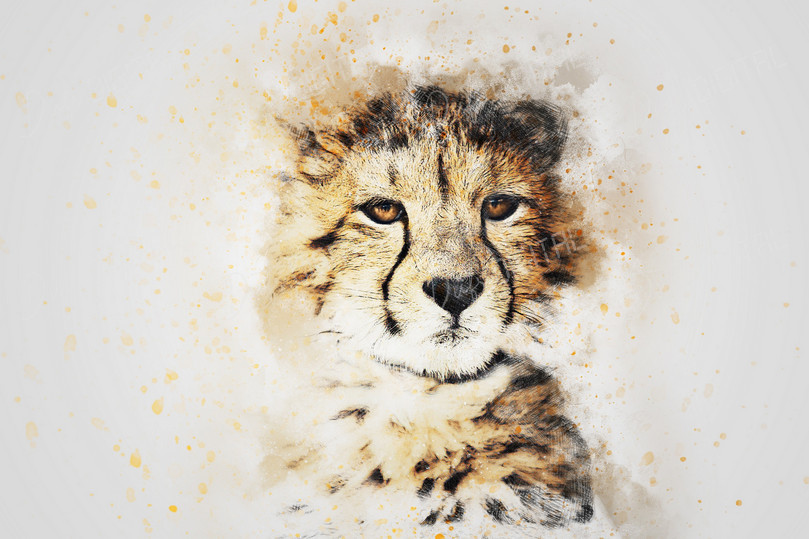 Cheetah Portrait Art