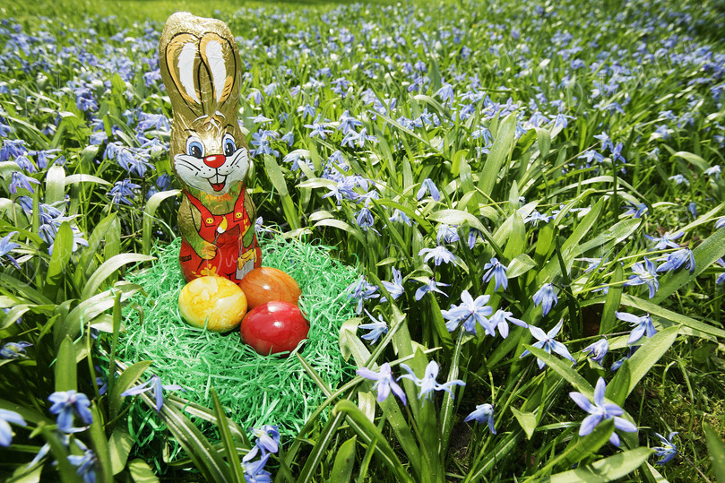 Colorful Easter Bunny Display
