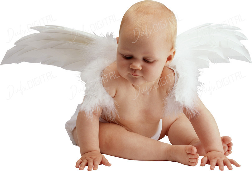 Baby Angel Wings