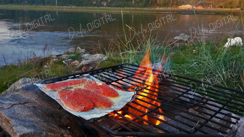 Grilling Salmon Outdoors
