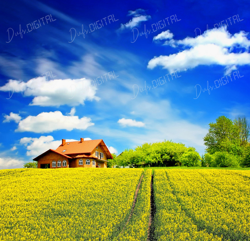 Scenic Farm Landscape