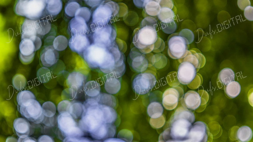 Colorful Bokeh Background