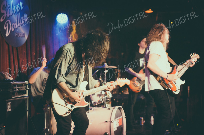 Live Music Performance