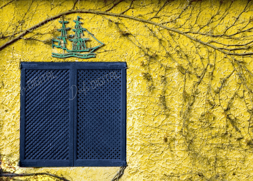 Colorful Wall Texture