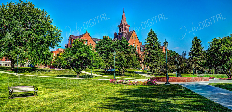 University Campus Serenity