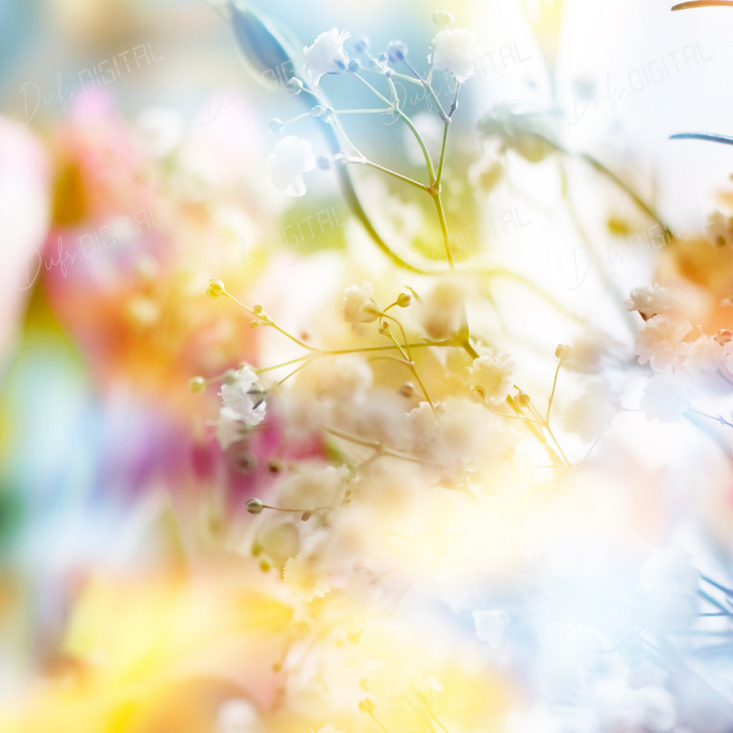 Colorful Floral Abstract