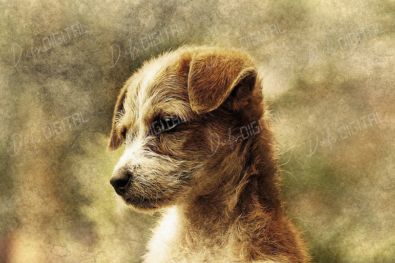 Thoughtful Puppy Portrait